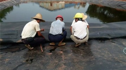 荥阳土工膜与1.0mm覆盖土工膜在工地施工中的应用及泰安恒瑞防渗膜的优势